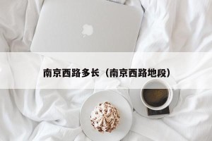 南京西路多长（南京西路地段）