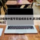 【武汉疫情中医专家组成员名单,武汉疫情中医立大功】