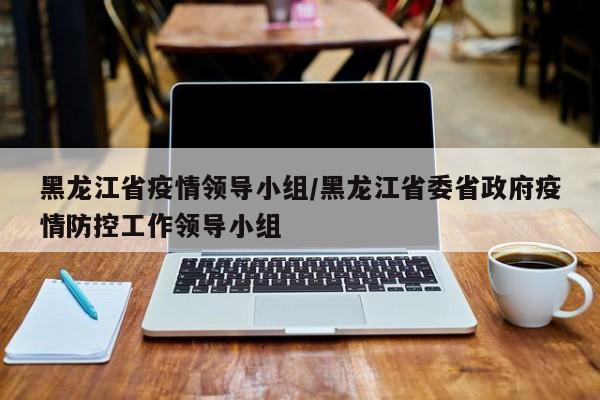 黑龙江省疫情领导小组/黑龙江省委省政府疫情防控工作领导小组