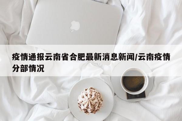 疫情通报云南省合肥最新消息新闻/云南疫情分部情况