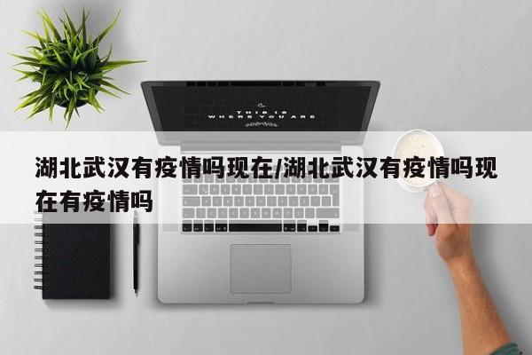 湖北武汉有疫情吗现在/湖北武汉有疫情吗现在有疫情吗