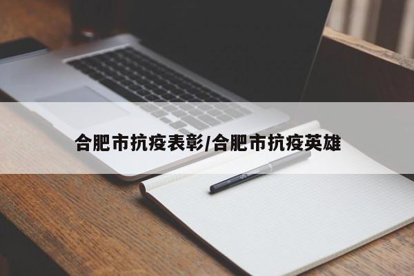 合肥市抗疫表彰/合肥市抗疫英雄